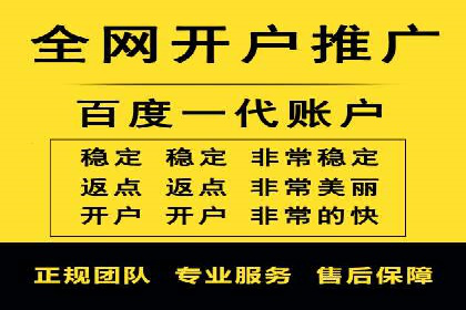 某品牌sem竞价托管代运营的精彩瞬间